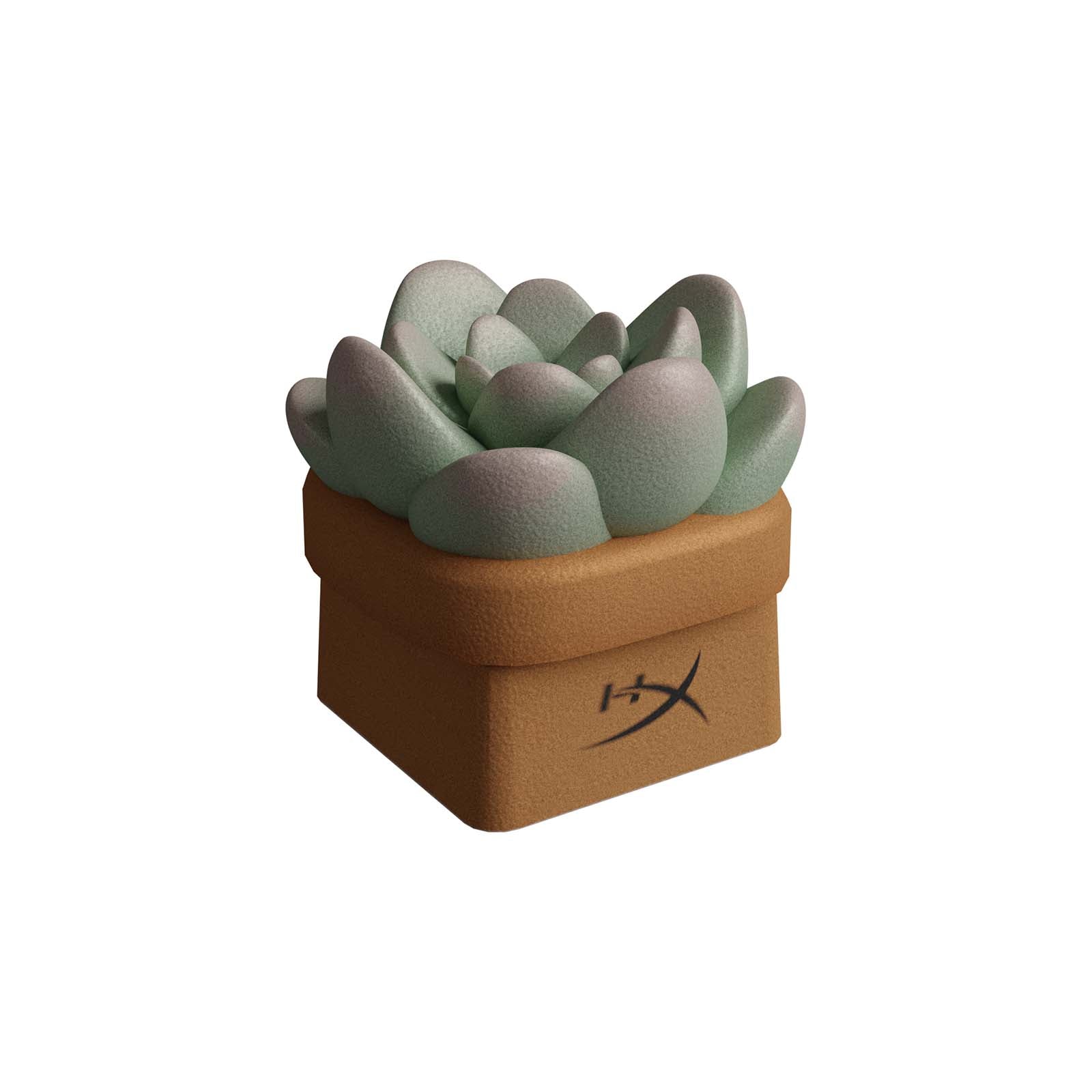 HX3D Keycap - Sally the Succulent - Image 2