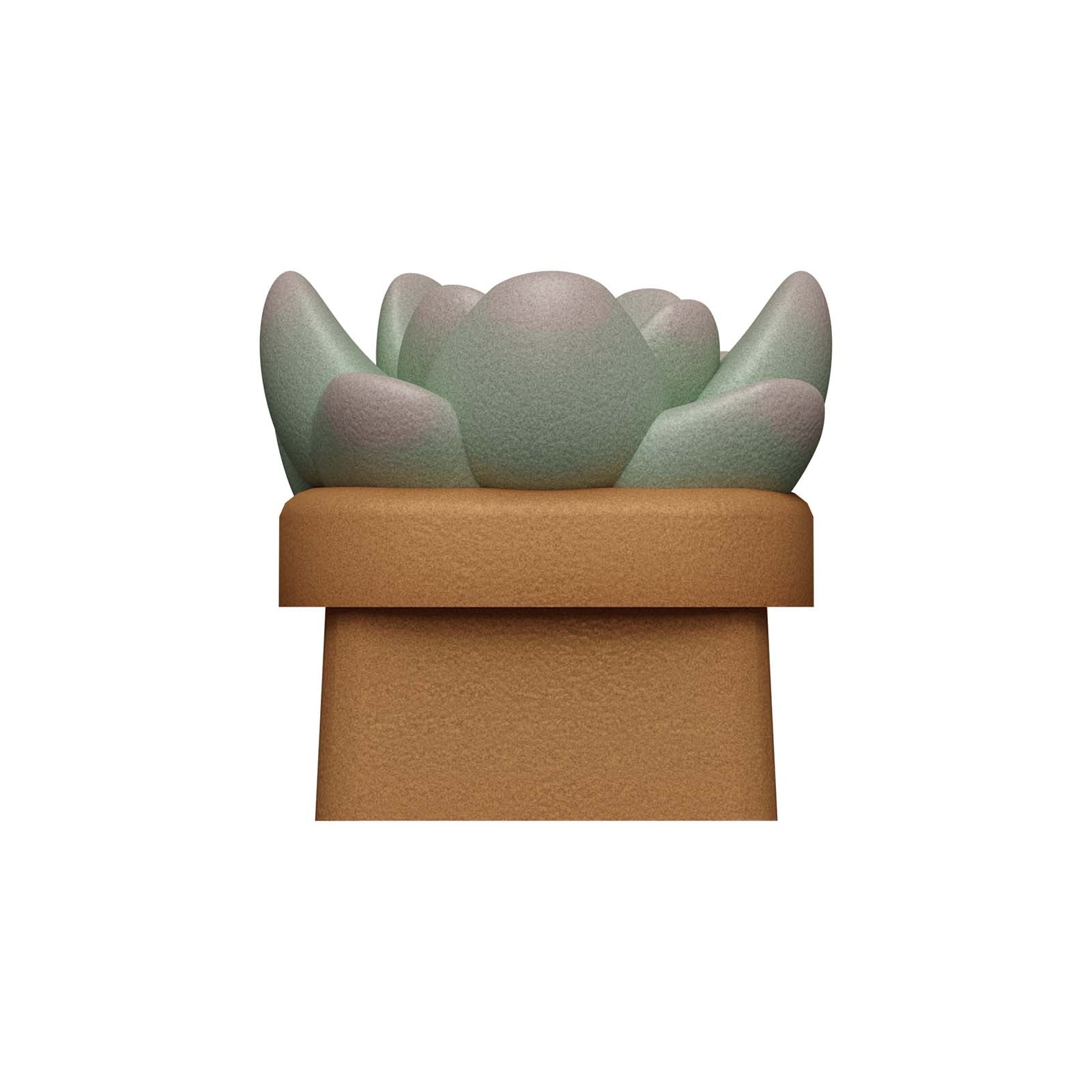 HX3D Keycap - Sally the Succulent - Image 7