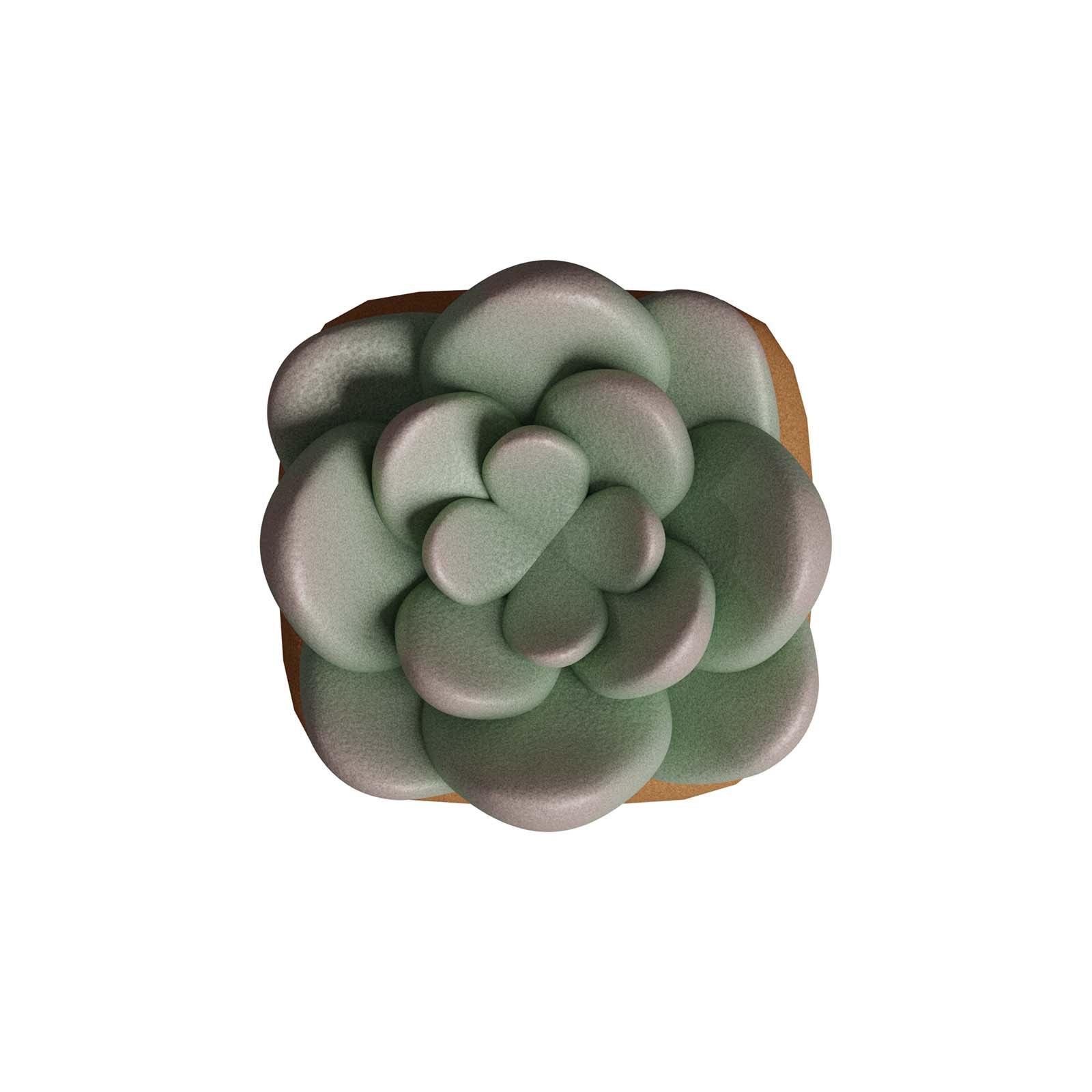HX3D Keycap - Sally the Succulent - Image 4